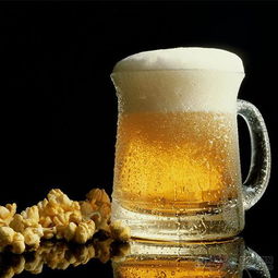 琥珀石固體啤酒產(chǎn)品 琥珀石固體啤酒產(chǎn)品圖片 琥珀石固體啤酒怎么樣 最新琥珀石固體啤酒產(chǎn)品展示