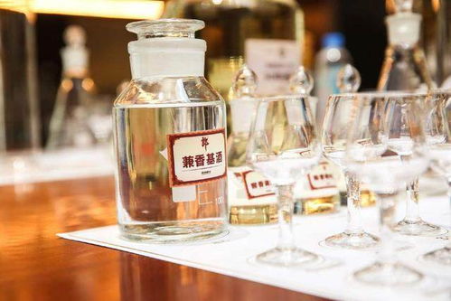 陳寶國(guó)代言順品郎,現(xiàn)場(chǎng)高喊雄起